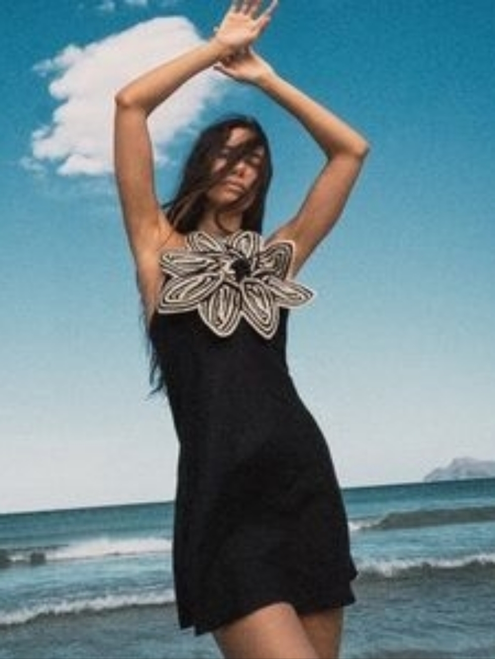 Zara Black Mini Dress with Cream Floral Applique